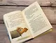 Наша первая победа (#1) - фото 7