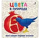 Книжки-картонки. Цвета в природе - фото 1
