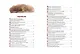 Золотой ключик, или Приключения Буратино (ил. В. Челака) - фото 13