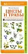 Цветы и травы. Мир удивительных растений. Наглядный карманный определитель - фото 3