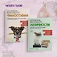 Как натаскать вашу собаку по ЭКОНОМИКЕ и разложить по полочкам основные идеи и понятия науки о рынках - фото 8