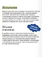 Русская свадьба: расплетание косы, венечный посад и свадебный поезд - фото 6
