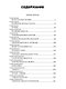 Победа: политический роман в 2-х томах. Том 2. Книга третья - фото 2