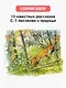 Рассказы о природе - фото 5