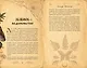 Гримуар зеленой магии. Заклинания, ритуалы и талисманы - фото 10