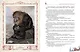 Любимые сказки из страны троллей. Норвежские волшебные истории о троллях, гномах и других существах - фото 7