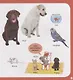 First Animals. Clever Encyclopedia. Over 500 Words To Learn - фото 5