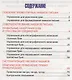 Русский язык 1 класс. Комплексный тренажёр. 4-е издание, переработанное - фото 2
