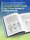 Все о лимфе. Как правильно заботиться о здоровье лимфатической системы и почему это важно (закрашенный обрез) - фото 5