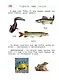 Изучаю мир вокруг: для детей 6-7 лет. Ч. 2 - фото 13