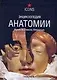 Энциклопедия анатомии. Музей Ла Спекола, Флоренция - фото 1