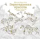 Первозданная красота. Книга для творчества и вдохновения - фото 1