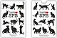 Сувенир, Карты игральн. Санкт-Петербург белая коробка коты 900-01W-CAT - фото 1