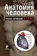 Анатомия человека: русско-латинский атлас - фото 1