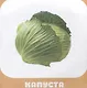 Малышарики. Курс раннего развития 0+. Овощи, фрукты - фото 5