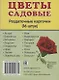 Дем. картинки СУПЕР Цветы садовые. 16 раздаточных карточек с текстом (63х87 мм) - фото 2