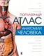 Популярный атлас анатомии человека - фото 1