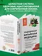 Традиционная китайская медицина. Современное руководство по древнему искусству «войны» с болезнями - фото 5