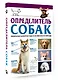 Определитель собак. Физические характеристики и особеннности породы - фото 3