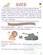 Герои: люди и города. Рассказы для детей - фото 3