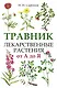 Травник. Лекарственные растения от А до Я - фото 1