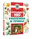 Окружающий мир. Растения и грибы - фото 3