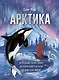 Арктика - фото 1