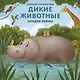 Дикие животные. Загадки-рифмы - фото 1