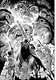 Берсерк. Том 11 (Berserk). Манга - фото 5