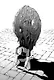 Подземелье вкусностей. Том 7 (Dungeon Meshi). Манга - фото 4