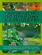 Садоводство по лунному календарю - фото 1