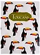 Папка-уголок А4 "Туканы", пластик 0,18мм - фото 1