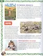 Большая книга о животных. Иллюстрированная энциклопедия - фото 5