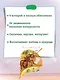 Большая книга сказок - фото 4
