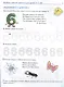 Математические прописи для детей 5-7 лет - фото 3