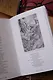 Беовульф - фото 12