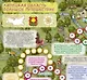 Липецкая область. Большое путешествие. Настольная игра - фото 3