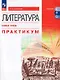 Литература. Базовый уровень. Практикум. Учебное пособие для СПО - фото 1