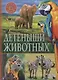 Детёныши животных - фото 1