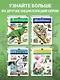 Динозавры. Полная энциклопедия - фото 6