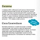 Читай, пиши, управляй: блокчейн как новая эра интернета - фото 7
