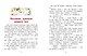 Школьные приключения Орлят из 4 "В" - фото 4