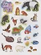Животные. Играй и приклеивай - фото 3