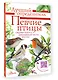 Певчие птицы. Средняя полоса европейской части России. Определитель с голосами птиц - фото 3
