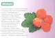 Обучающая книга «Полезные ягоды» - фото 3