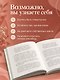 Ты выбираешь. Книга о том, как пережить травмы и стать себе опорой - фото 5