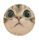 Значок Кот кусь (фотопринт) (металл) (56мм) (ЗН2025-080) Bookvalno - фото 4