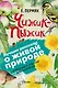 Чижик-Пыжик. С вопросами и ответами для почемучек - фото 1