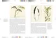 Remarkable plants - фото 5
