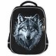Ранец «Gray wolf», с брелоком, 1 отделение, 35×26×13 см, ЭВА, Brauberg - фото 2